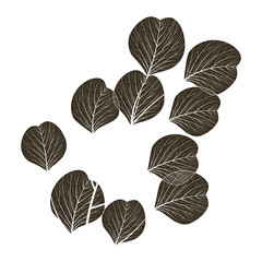Fototapeta premium Flat black leaf - vein. Logo element. Leaf design. Vector illustration. EPS 10