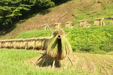 石畑の棚田　栃木県茂木町