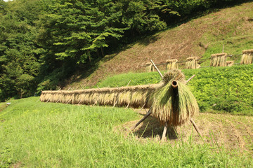 石畑の棚田　栃木県茂木町
