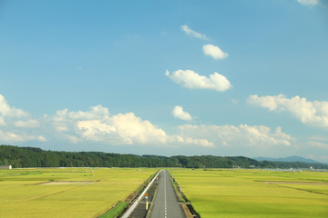 田園風景　栃木県高根沢町