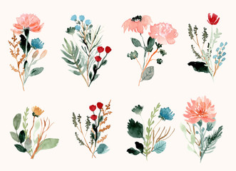 wild flower bouquet watercolor collection