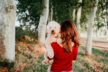 beautiful caucasian woman walking with her cute brown poodle on the road. Pets and lifestyle outdoors