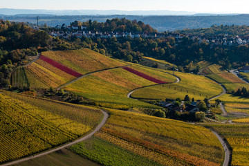 rural landscape with fields and hills