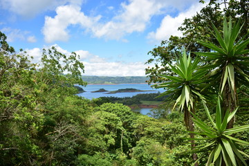 Viewpoint to a landscape of vegetation and a lake.
