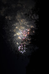 night fireworks in the city