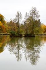 Fototapeta na wymiar beautiful woodland in autumn time in Germany