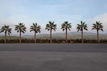 Fototapeta na wymiar Palm tree line have landscape view mountain
