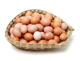 eggs on a white background