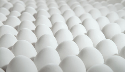 many white eggs