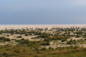 Fototapeta na wymiar Strand auf Amrum- Übergagn in die Dünen