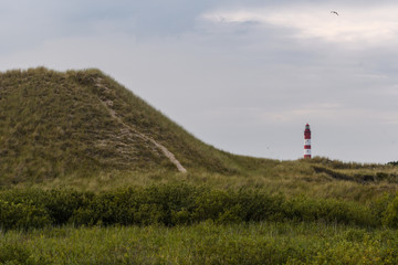 Fototapeta na wymiar Leuchtturm auf Amrum in den Dünen