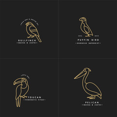 Vector golden color illustration set of birds - puffin, pelican, bullfinch, toucan in trendy linear style. Logo or label icon. © oxygen_8