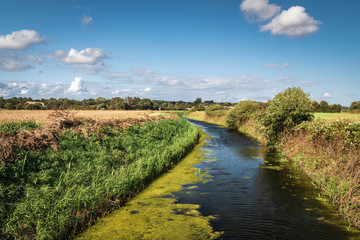 The Reading Sewer or Ditch, near Peening Quarter, running across southern Kent in England on a summers day.