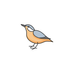 Vector illustration bird in trendy linear style. Nuthatch isolated on white background. Woodland bird.