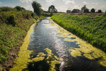 The Reading Sewer or Ditch, near Peening Quarter, running across southern Kent in England on a...