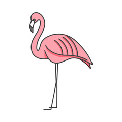 Vector linear icon design flamingo bird on white background. Flamingo emblems or badges.