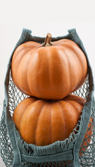 Reusable net bag or mesh shopper with pumpkins.