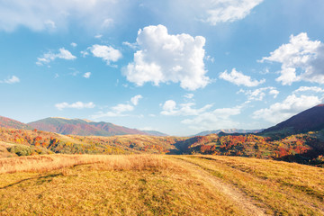 beautiful mountain landscape in autumn. wonderful sunny afternoon weather with fluffy clouds on the sky. forested hills rolling in to the distant mountain ridge. path along the grassy meadow