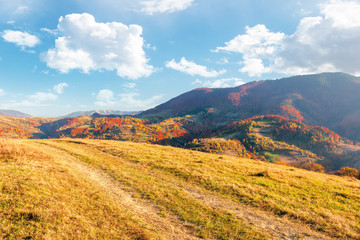 Fototapeta na wymiar beautiful mountain landscape in autumn. wonderful sunny afternoon weather with fluffy clouds on the sky. forested hills rolling in to the distant mountain ridge. path along the grassy meadow