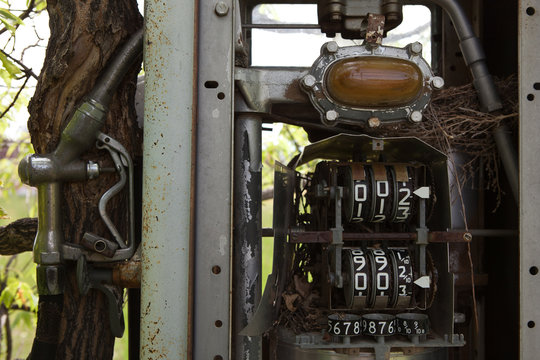 Alte Tankstellenzapfs&auml;ule, die von der Natur zur&uuml;ck erobert wird