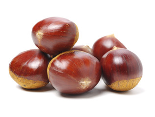 Sweet chestnut on white background