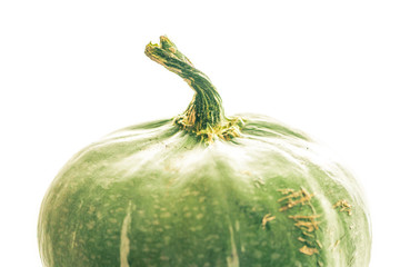 green pumpkin isolated on white background
