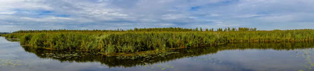 Panorama am Federsee