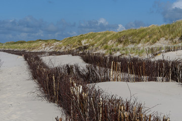 Dünen auf Amrum