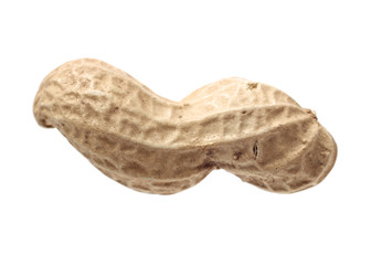 Peanuts on a white background