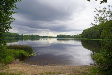 Lake in the forest. Colorful summer landscape with lake and forest view.