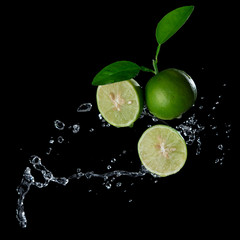 Fresh lime with water splash flying in the air isolated on black background