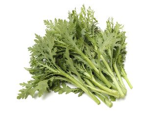 Shungiku, also known as tong hao, or edible chrysanthemum, Isolated on white. A leaf herb commonly used in asian food