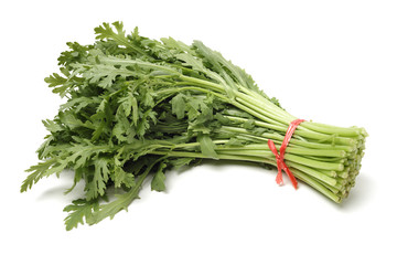 Shungiku, also known as tong hao, or edible chrysanthemum, Isolated on white. A leaf herb commonly used in asian food