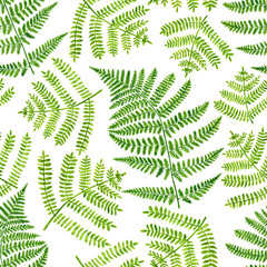 Watercolor green fern leaves seamless pattern. Hand drawn botanical illustration isolated on white background. Floral illustration for textile, fabrics, design, wallpaper, covers, cards, invitation.