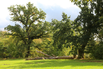 Beautiful nature close to Leipzig, Germnay