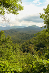 Smoky Mountain Ridge Overlook With Green Trees