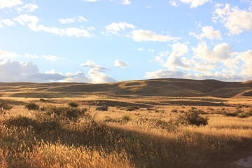 Steppe in canterbury new zealand