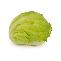 Green iceberg lettuce on a white background.