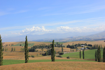 View from a hill to a steppe with cypresses in the background on a sunny day