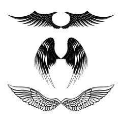 set of wings