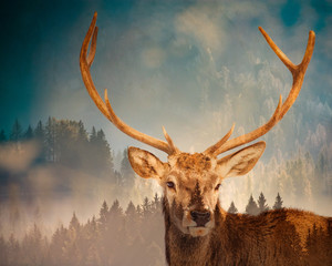 Obrazy  podwójna ekspozycja lasu jeleni i sosny - ocal naszą planetę - walcz z globalnym ociepleniem warm