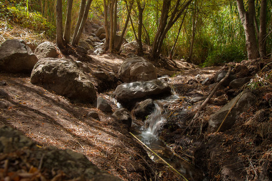 Gran Canaria, Barranco de los Cernicalo ravine, small stream