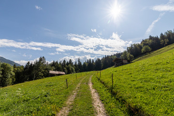 Mountain trail in the center and two chalets far away on the sides in the French Alps during the summer