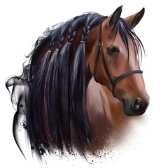 The horse's head. Watercolor drawing © Kajenna