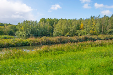 Canal along a green dike in a rural area below a blue cloudy sky in sunlight at fall 