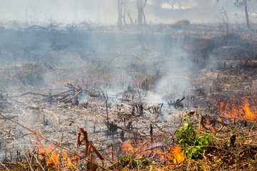 Waldbrand