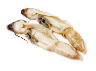 Razor clams isolated on white background.