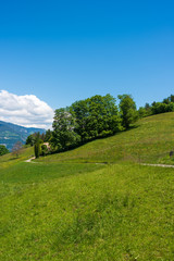 Landscape in Aeschi bei Spiez