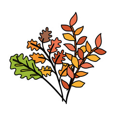 autumn branches with leafs isolated icon vector illustration design