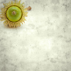  old paper background